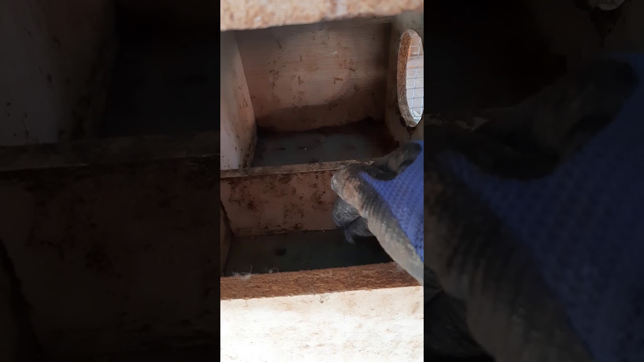 Tavşan Kafes Yapımı