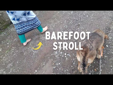 Barefoot stroll with puppy | Walking a dog barefoot