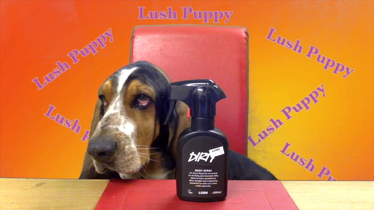 Boris Basset Reviews The Body Spray Dirty By Lush