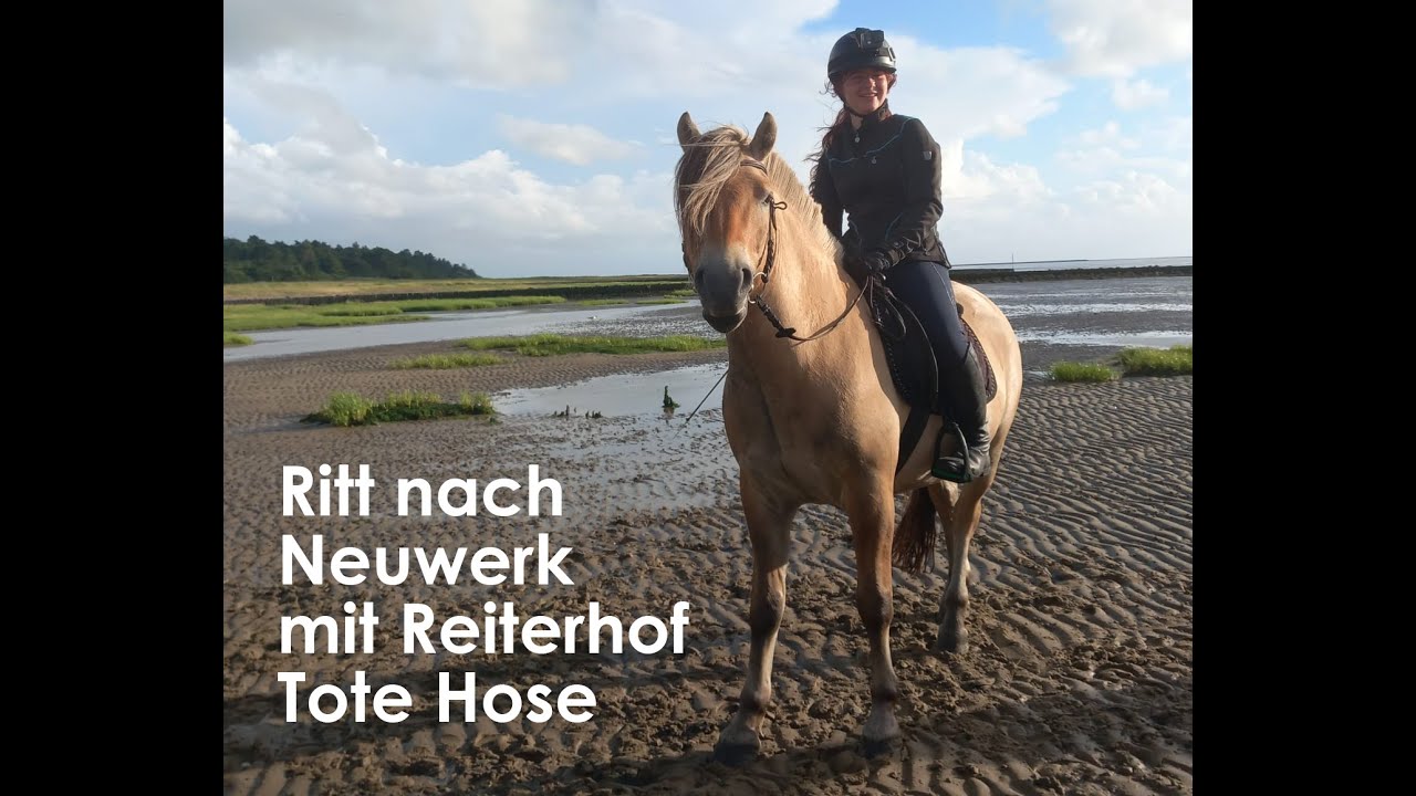 Ritt nach Neuwerk   22Juli23   ReiterhofToteHose