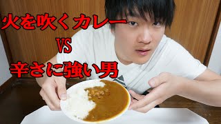 火を吹く辛さのカレー食ってみた！！【Street Fighter 】