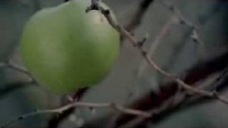 Appletiser TVC celebrates the ultimate reward
Appletiser SA has just launched a new television commercial, which aims to communicate the brand as the ultimate reward, one which can be enjoyed any time, any where. Appletiser TVC celebrates the ultimate reward