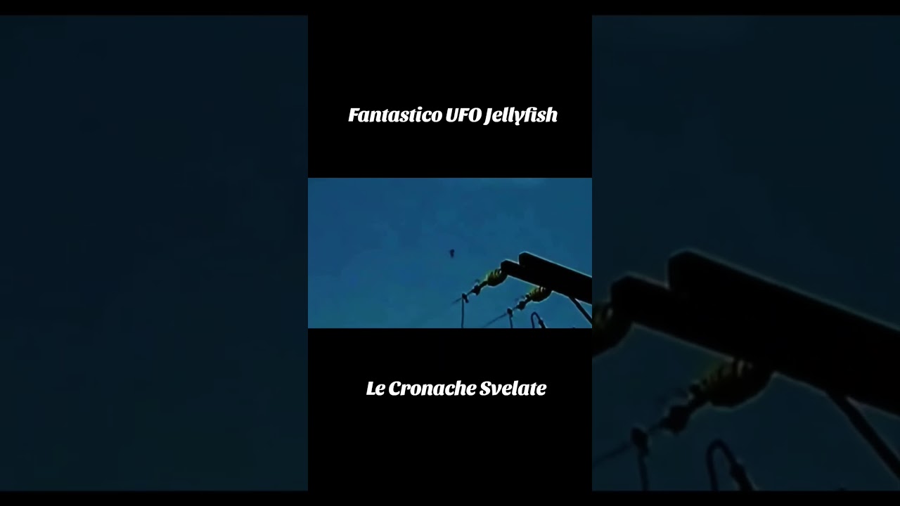 maxresdefault Caccia F-15 USA abbattuto da UFO Jellyfish?