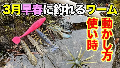 ワーム春おすすめバス釣り ワーム春おすすめバス釣り