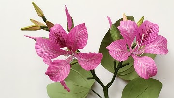 ABC TV | How To Make  Butterfly Tree Paper Flower From Crepe Paper - Craft Tutorial