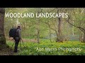 Woodland Landscapes and Macro Photography