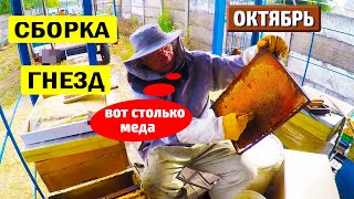 видео: КАК СОБРАТЬ ГНЕЗДА пчел на зиму? Сколько меда оставить в улье на зиму? картинка: КАК СОБРАТЬ ГНЕЗДА пчел на зиму? Сколько меда оставить в улье на зиму?