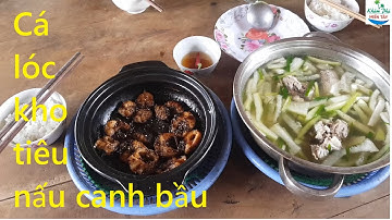 456 | Thụt hang bắt cá về kho tiêu nấu canh bầu | Fishing