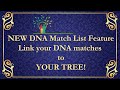 AncestryDNA - Link DNA matches to your Family Tree