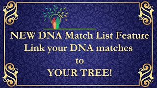 AncestryDNA - Link DNA matches to your Family Tree