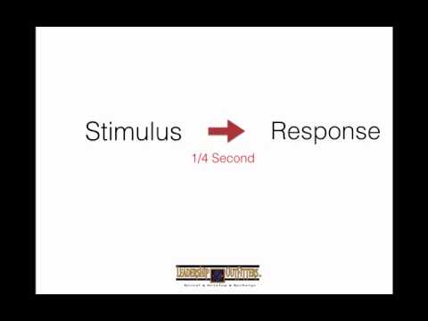 Stimulus Response - YouTube