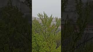 В Рязани 7  мая пошел снег