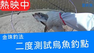 【阿賢爸】愛釣魚 Ep.29 二度測試烏魚釣點    (珠鉤釣法阿賢爸大咬釣組) [半字幕]