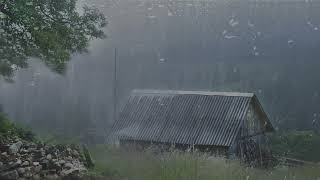 Wonderful Rain Sound on Roof in foggy Rainforest for Deep Sleep   Rain sounds for Sleep