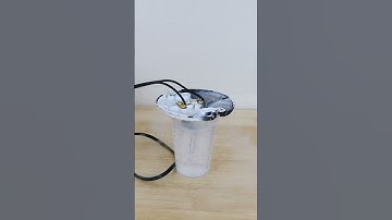 Broken Light Bulbs In Liquid Nitrogen Still Work!