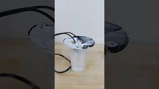 Broken Light Bulbs In Liquid Nitrogen Still Work! Profile