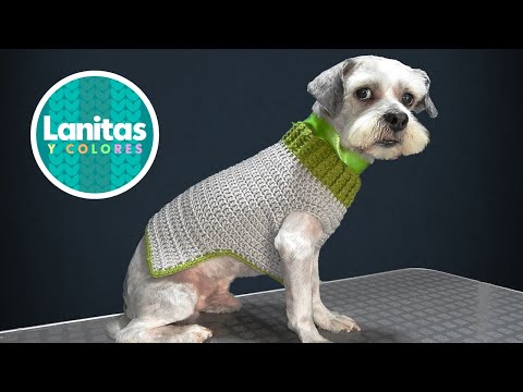 Video: Cómo tejer para perros