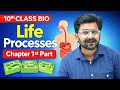 Class 10 Biology Chapter 1 Life Processes | Full Concept (Part 1)