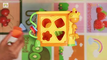 Kiddale Multi Purpose Activity Cube