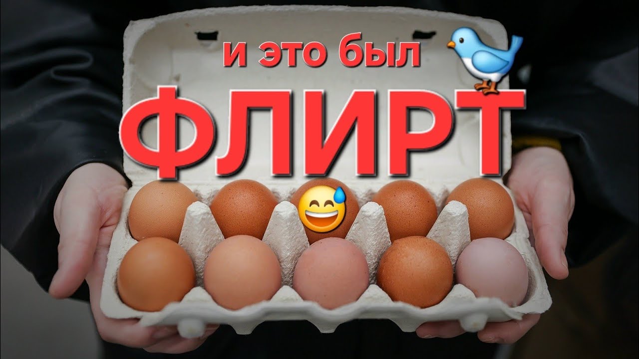8 моих алжирских историй: подарок на свадьбу, флирт с продавцом яиц, армия петуний и неудачная шутка