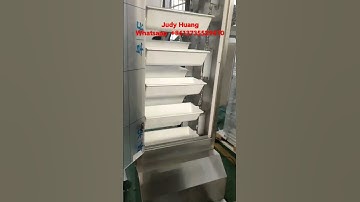 z type conveyor ready for shipping#packingmachine #conveyor