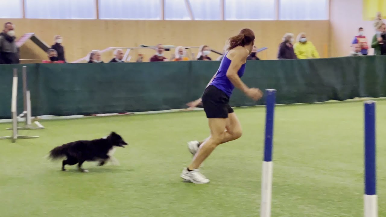 Swiss Agility Cup 2021 - Highlights