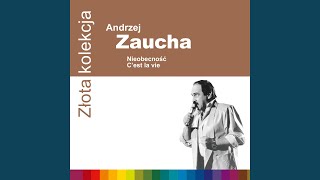 Video thumbnail of "Andrzej Zaucha - Dzień dobry, Mr Blues"