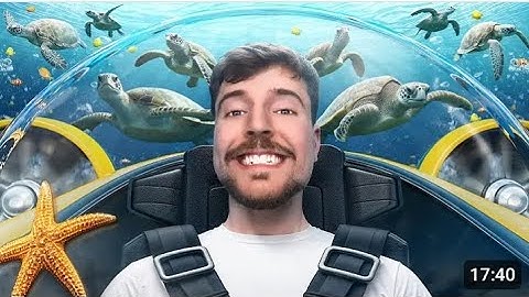 $1 vs $500,000 Experiences! (@MrBeast )
