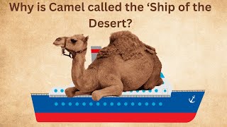 Animal World..."Camel : Ship of the Desert" screenshot 5