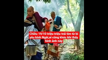 chiều 19/10 triệu triệu trái tim từ bi yêu kính Ngài,ai cũng khóc#suminhtue #shortvideo