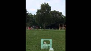 Liquid Nitrogen Bottle Rocket