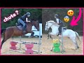 Cours saut dobstacles a enchane  130522  cso landreau