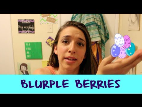 Blurple Berries!!!!! - YouTube