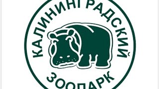 Калининградский зоопарк. Что посмотреть в Калининграде?