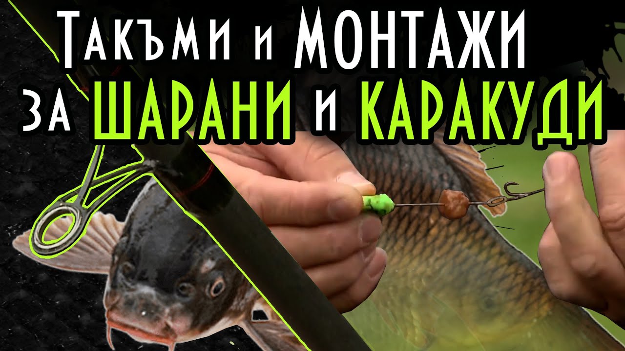 Такъми и МОНТАЖИ за ШАРАНИ И КАРАКУДИ