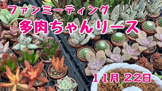 多肉植物のリースIN花創人ファンミーティング