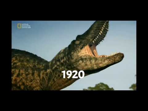 Gorgosaurus Of Evolution