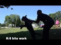 K-9 demonstration