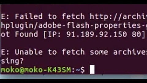 Error Install Flash Plugin in Ubuntu 16 04 : adobe flashplugin amd64 404 Not Found