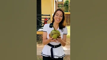 Обзор на плод хлебного дерева💚