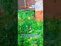 PET bottles recycling machine, PET bottles recycle business #PETbottlerecycle