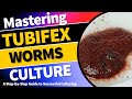 Mastering tubifex worm culture a stepbystep guide to successful culturing tubifexwormculture