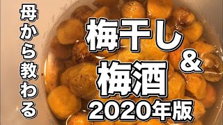 [パパ料理34] シンプルに作る！梅干し梅酒を母に教えてもらった！2020年バージョン[永久保存版]#梅干し #梅酒