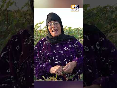 مروحش الغيط الباميه شوكتنى اكسبلور