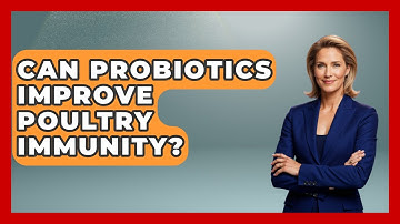 Can Probiotics Improve Poultry Immunity? - The World of Agriculture