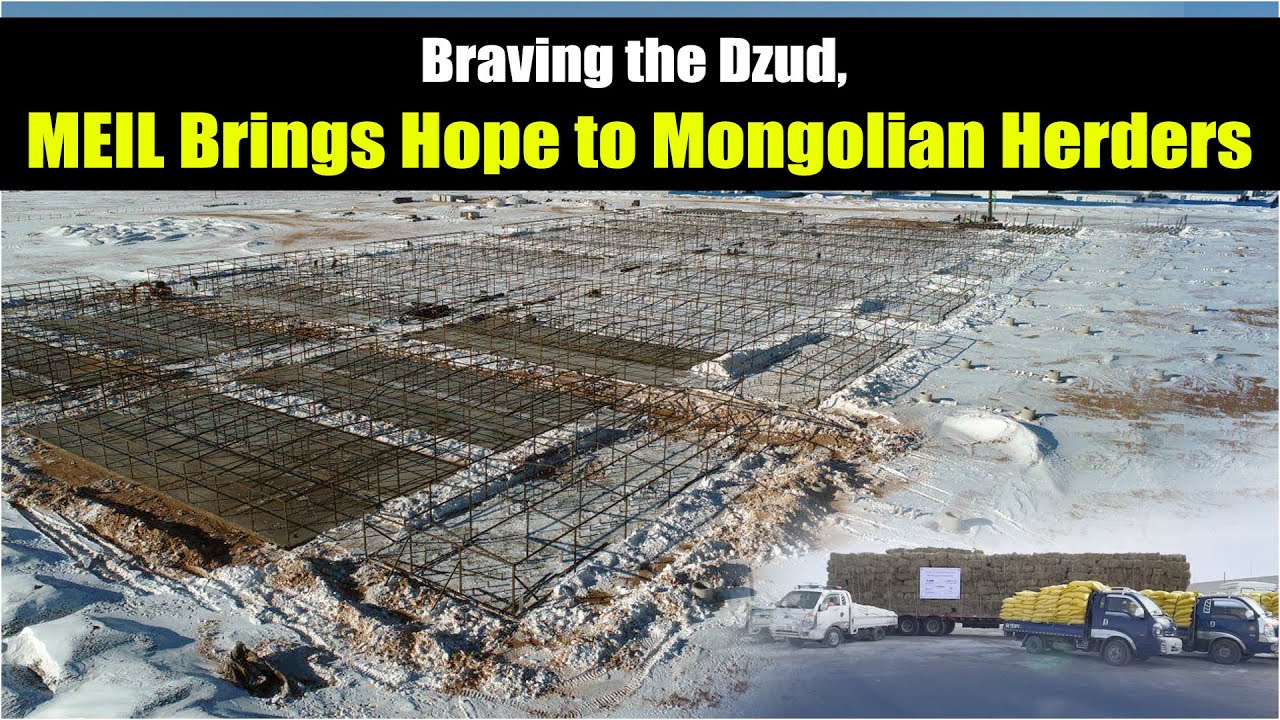 Hope in the Dzud, MEIL Stands with Mongolian Herders | MEIL - YouTube