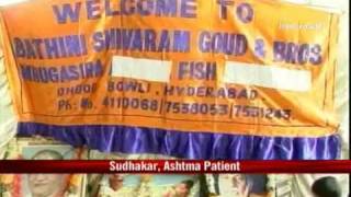 The 'fish cure' for Asthma