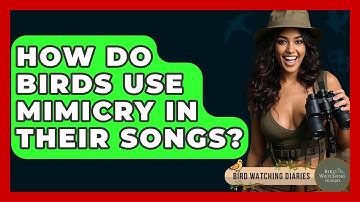 How Do Birds Use Mimicry In Their Songs? - Bird Watching Diaries
