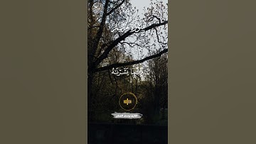 (سورة مريم ) | الآية 97 - 96 | القارئ يوسف الصقير | #اكتب_شي_توجر_عليه | #قرآن | #يوسف_الصقير