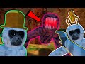 I got early access to chimp chase 2 update horror mode  collectibles